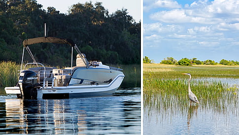 Tour safari de 3 heures en bateau sur le fleuve Saint-Laurent - Une excursion safari nature et sites incontournables de Montréal depuis l’eau !